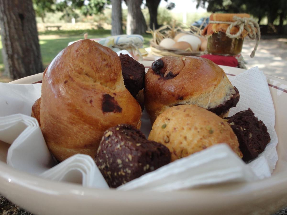 Cefalicchio B&B Canosa di Puglia Ngoại thất bức ảnh