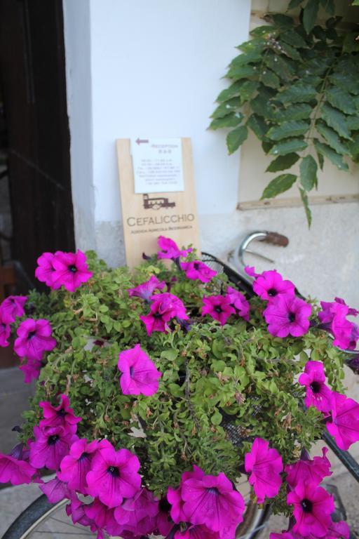 Cefalicchio B&B Canosa di Puglia Ngoại thất bức ảnh