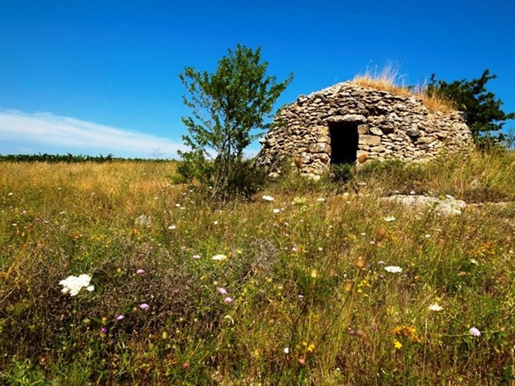 Cefalicchio B&B Canosa di Puglia Ngoại thất bức ảnh