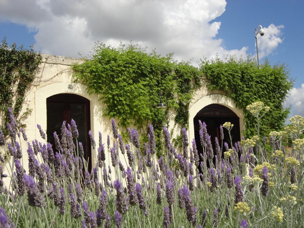 Cefalicchio B&B Canosa di Puglia Ngoại thất bức ảnh